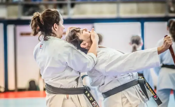 Image de presentation